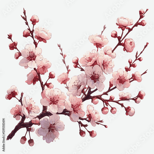 A blooming branch of a cherry tree on a white isolated background. Spring cherry blossoms. Vector graphics. EPS.