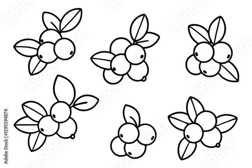  lingonberry line art abstract interpretation of berry plant.