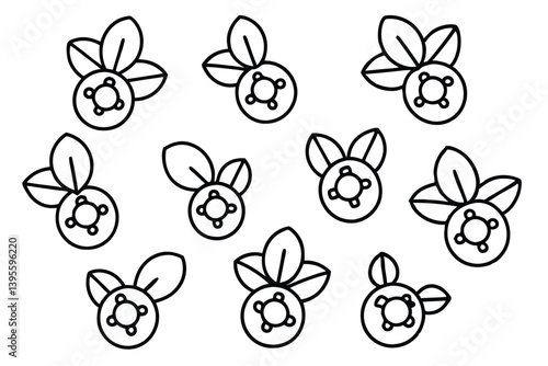 lingonberry line art hand drawn simple design style
