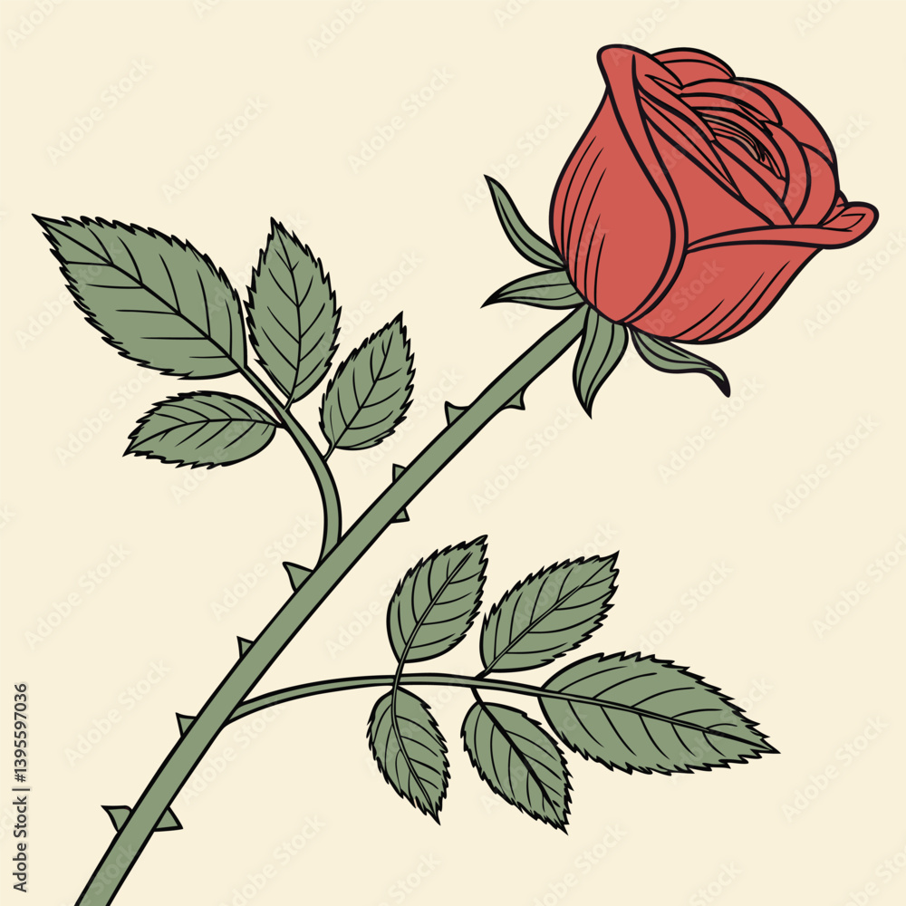 Uma rosa vermelha aberta, com galho e folhas verdes. Dia das mães, dia dos namorados, floricultura, casamento, amor, paixão. Plantas, botânica, jardins. 