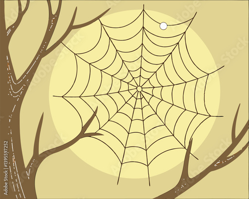 Spiderweb stretched between bare tree branches in a natural setting.