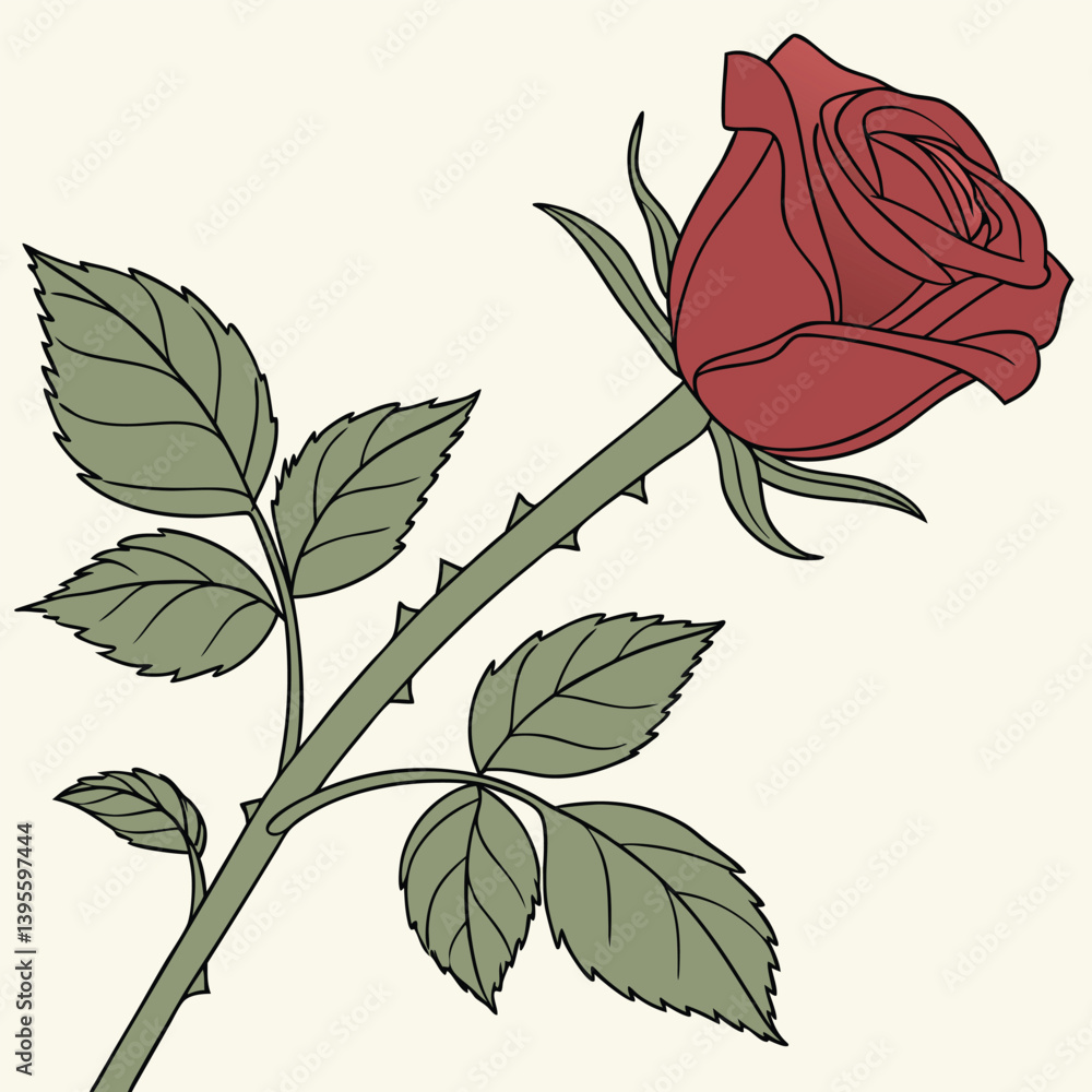 Uma rosa vermelha aberta, com galho e folhas verdes. Dia das mães, dia dos namorados, floricultura, casamento, amor, paixão. Plantas, botânica, jardins.