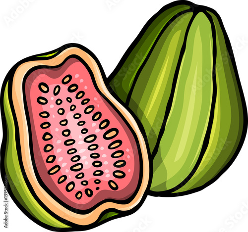 Doodle cartoon funny guava