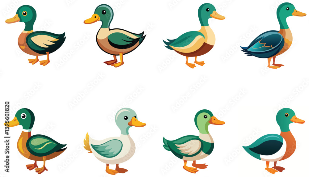 Set of Duck isolated on white background Set of Duck isolated on white background