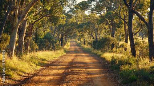 Verdant rural scenery with thriving greenery near Kingaroy, Queensland, Australia