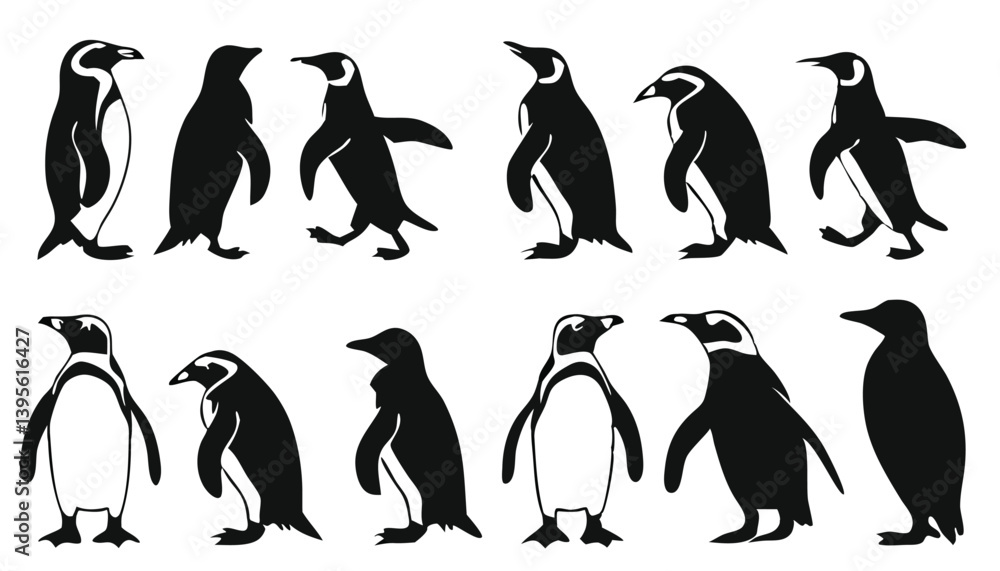 Fototapeta premium Penguin Vector Collection – Stylized Emperor Penguins Walking, Swimming, and Grouped in Arctic Wildlife Scene.