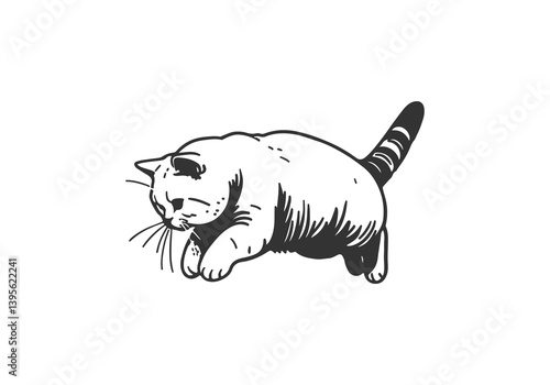 British Shorthair Cat Hand Drawn Illustration Sketch Vector Isolated for Graphic Resource