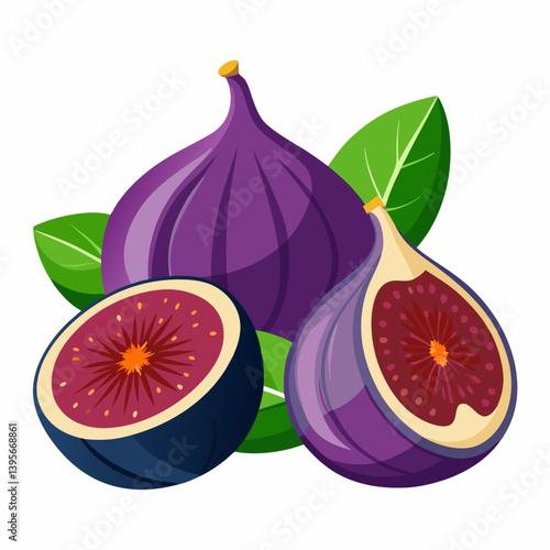 Fig isolated vector white background