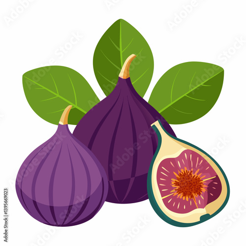 Fig isolated vector white background