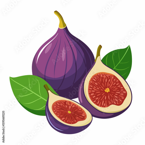 Fig isolated vector white background
