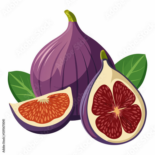 Fig isolated vector white background