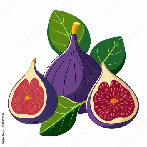 Fig isolated vector white background