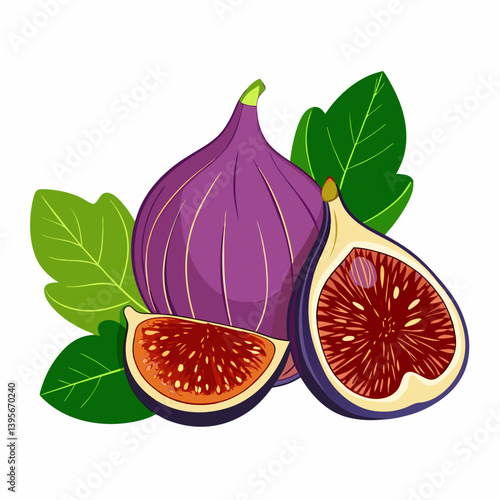 Fig isolated vector white background