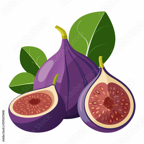 Fig isolated vector white background