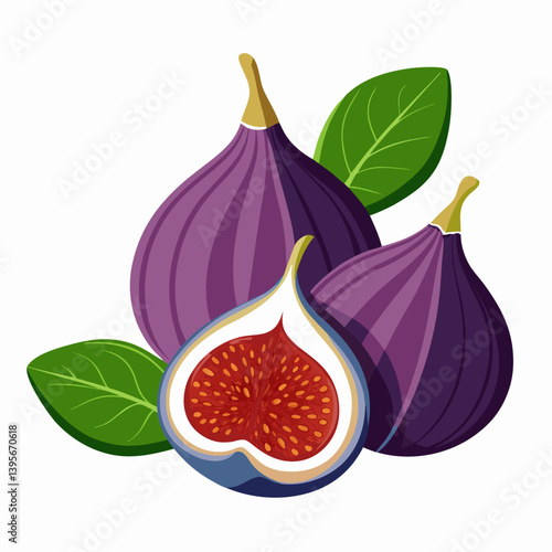 Fig isolated vector white background