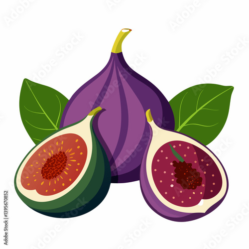Fig isolated vector white background