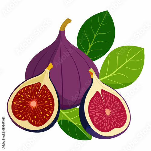 Fig isolated vector white background