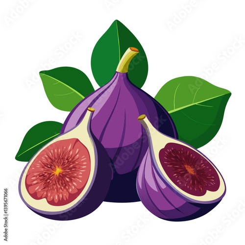 Fig isolated vector white background