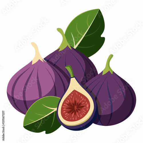 Fig isolated vector white background