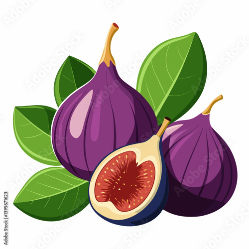 Fig isolated vector white background