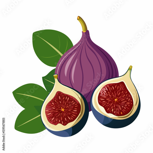 Fig isolated vector white background
