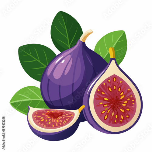 Fig isolated vector white background