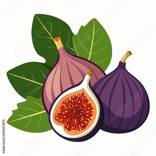 Fig isolated vector white background