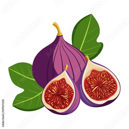 Fig isolated vector white background