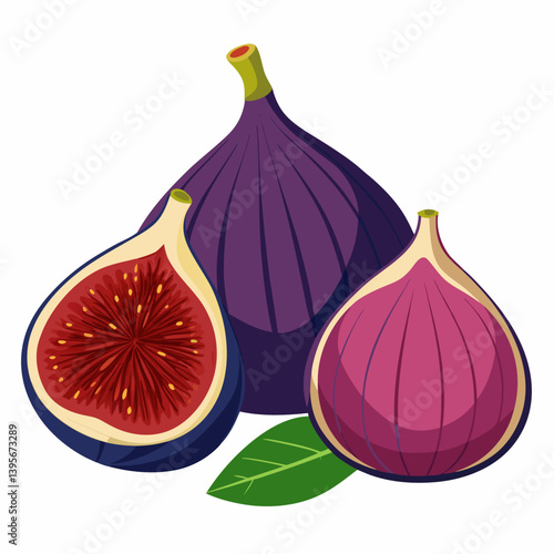 Fig isolated vector white background
