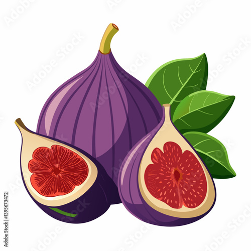 Fig isolated vector white background