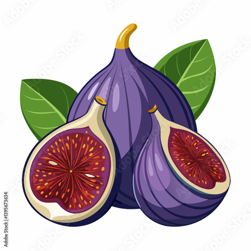 Fig isolated vector white background