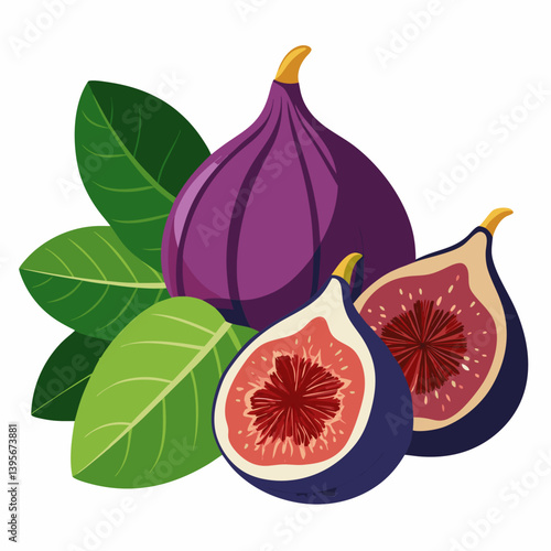 Fig isolated vector white background