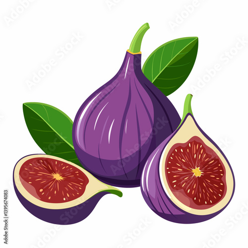 Fig isolated vector white background