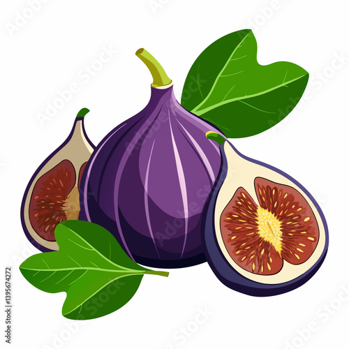 Fig isolated vector white background