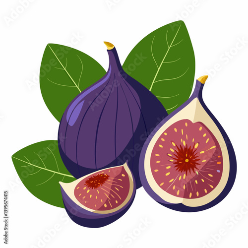 Fig isolated vector white background