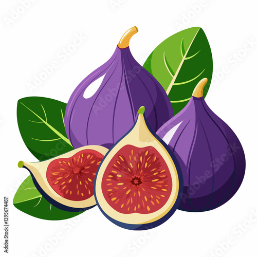 Fig isolated vector white background
