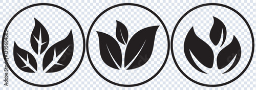 Collection of leaf icons. Black icons isolated on a white background. Vector illustration 