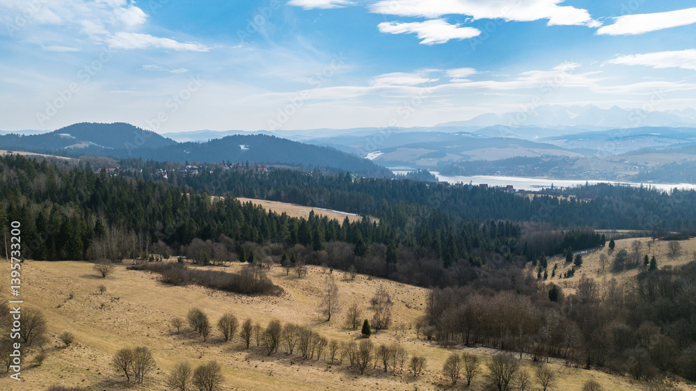 Fototapeta premium A view from a drone over the Pieniny Mountains