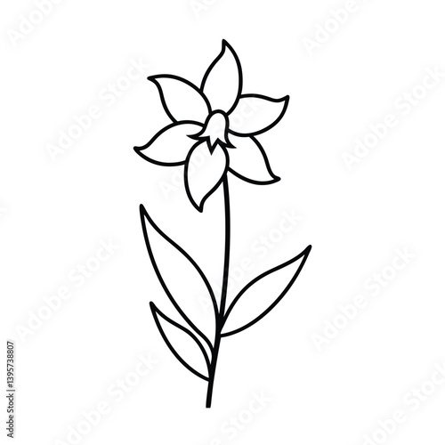 delphinium flower line art vector illustration