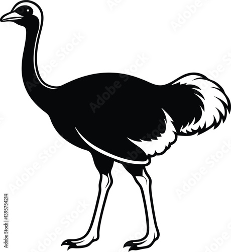 Ostrich Silhouette Vector illustration ale African ostrich ostrich silhouette illustration vector Minimal ostrich bird vector silhouette

