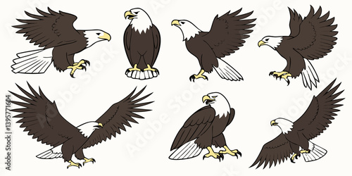 Vector Cartoon Detailed Bald Eagle Illustrations Set Poses Flying Wildlife