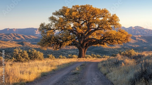 Majestic tree on a country road