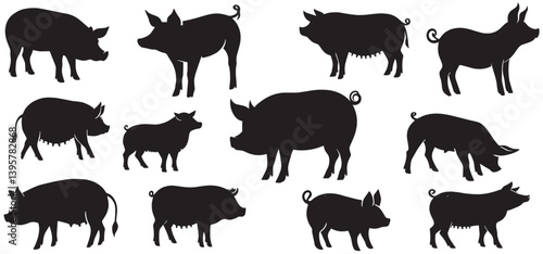 Silhouette Pig breeds collection. Farm animals set , Set of pigs vector illustration