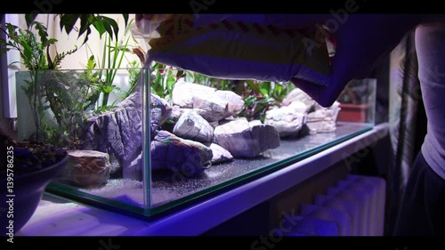 Aquascaping aquariums