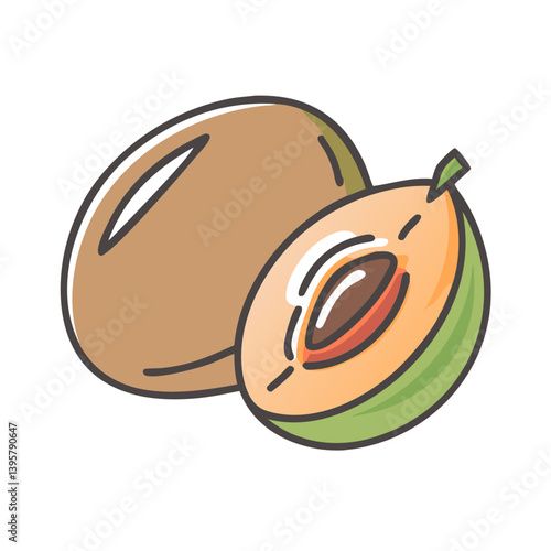 sapodilla fruit icon, sapodilla fruit vector illustration-simple illustration of sapodilla fruit, perfect for sapodilla fruit logos and icons