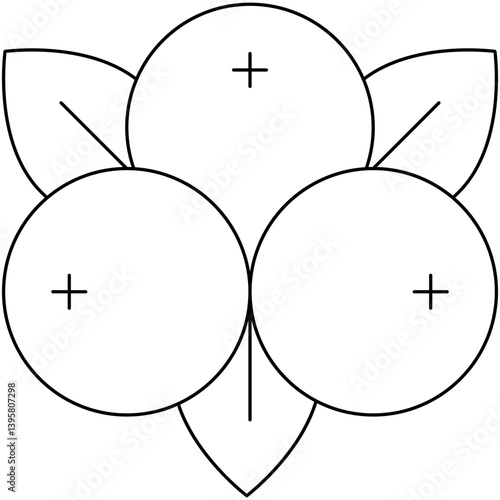 Cranberries single vector illustration icon