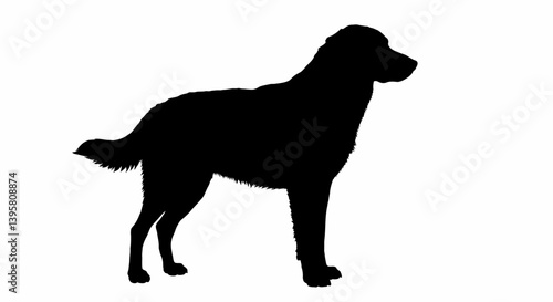 Majestic Canine Silhouette Elegant Black Dog Vector Illustration
