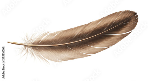 A single brown feather isolated against a black background with intricate details and soft texture shown
