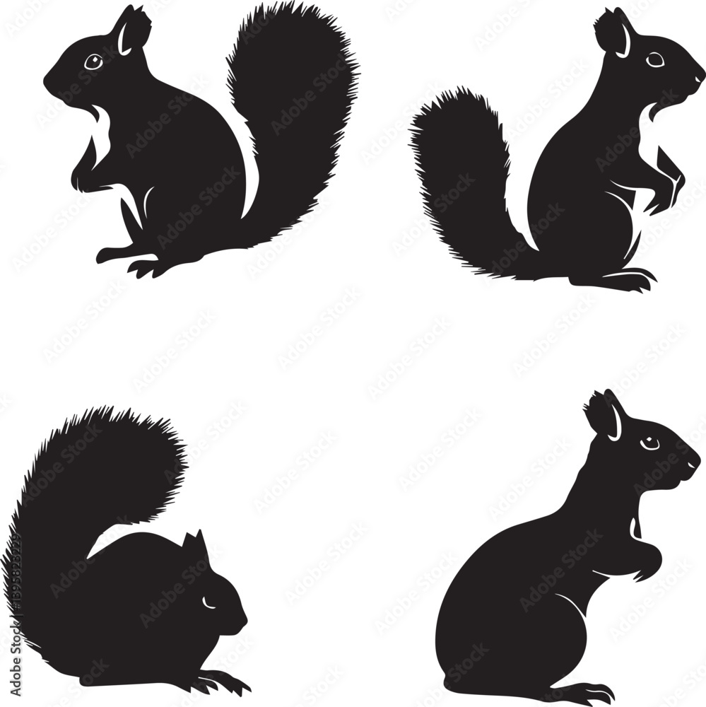 Squirrel set silhouette on white background Squirrel set silhouette on white background