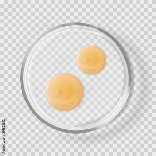 Glass Petri dish with shampoo drops isolated realistic vector illustration. Concept laboratory tests and research skincare cosmetic beauty product